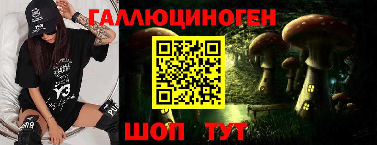 Галлюциногенные грибы мухоморы Канск