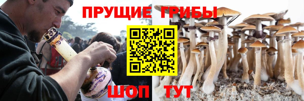 Канск  Псилоцибиновые грибы Psilocybe  Вход с VPN 